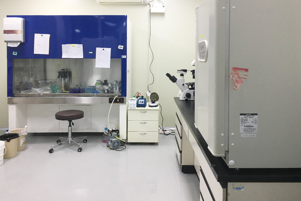 Jeju Life Science Institute image 4