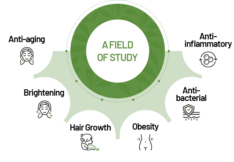 A FIELD OF STUDY